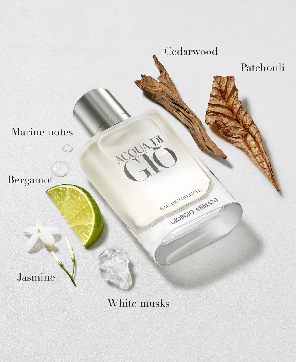 Acqua di Giò Eau de Toilette — Fresh Marine Bergamot & Cedarwood Men’s Luxury Fragrance | Refillable Spray 100ml