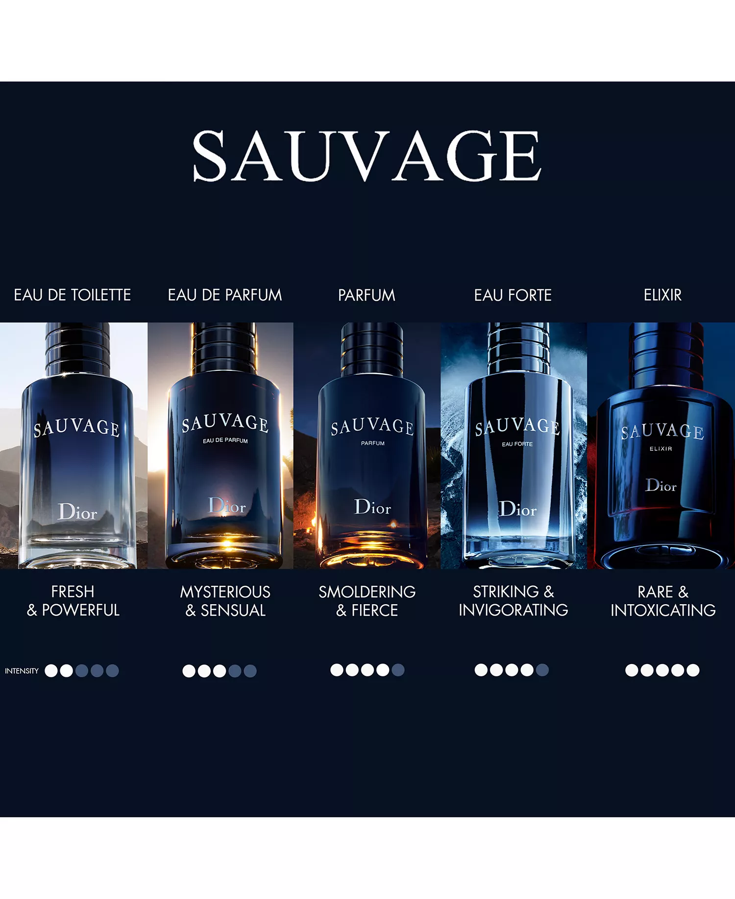 Sauvage Eau de Parfum — Spicy Bergamot & Vanilla Absolute Woody Men's Luxury Fragrance | Mysterious & Sensual 100ml